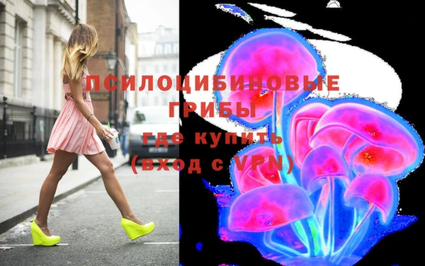 тгк Мегион