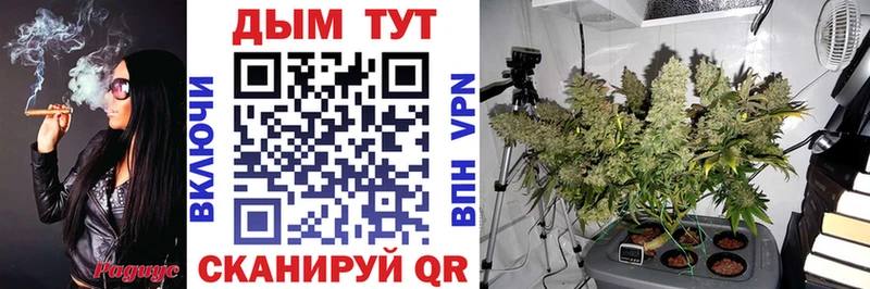 Купить  Куровское  МАРИХУАНА White Widow 